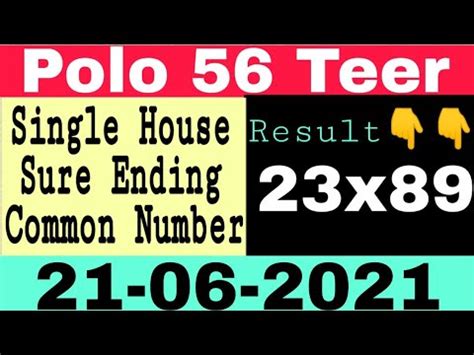 polo 56 previous number|Polo56.